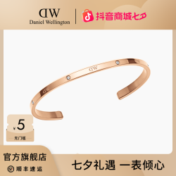 Daniel Wellington DW手镯CLASSIC系列星辰手镯玫瑰金色高级感饰品