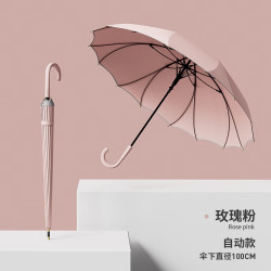 艾格辰 长柄16骨自动防风加大雨伞