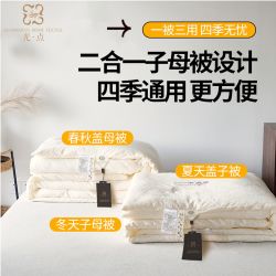 光点过冬神器大豆纤维酒店子母被床上被加厚冬被可以水洗