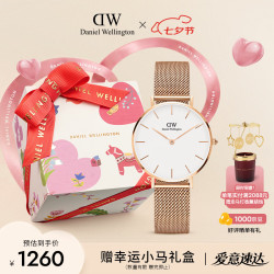 Daniel Wellington PETITE系列 32毫米石英腕表 DW00100163