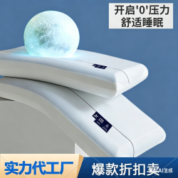 护颈枕网红款慢回弹双芯酒店深睡单色芯颈椎