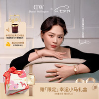 Daniel Wellington DW女表全新复古小方糖钢带石英腕表DW00100651