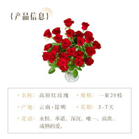 京东鲜花 红玫瑰 10枝 鲜花速递