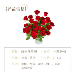 京东鲜花 红玫瑰 10枝 鲜花速递