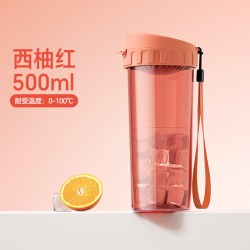 特百惠 500ml茶韵随手杯女学生专用简约轻巧便携密封防漏太空杯