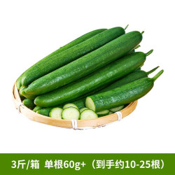 东方甄选青脆黄瓜现摘现发皮薄清香脆爽无刺凉拌家常新鲜蔬菜