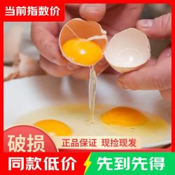 京东 鲜鸡蛋粉壳 50克±5g 10枚 鲜鸡蛋50g*10枚