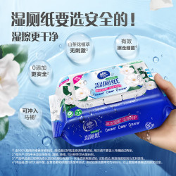 维达 山茶花精华家庭装厕所湿巾湿厕纸 80片*6包