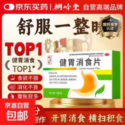 桐岭堂 [桐岭堂]健胃消食片 0.5g*20片 1盒装 调理成人儿童肠胃消化脾胃虚弱胃药 健脾消食健胃开胃