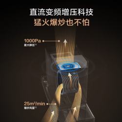 A.O.SMITH CXW-350-Q2CWi 顶侧双吸 抽油烟机