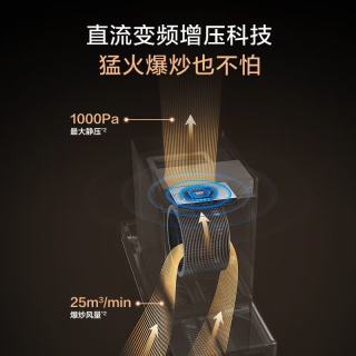 A.O.SMITH CXW-350-Q2CWi 顶侧双吸 抽油烟机
