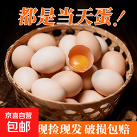 新鲜农家谷物鲜鸡蛋  现捡现发 破损包赔  营养早餐 单枚40g左右 30枚装