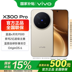vivo X300 Pro 5G手机 12GB+256GB 旷野棕