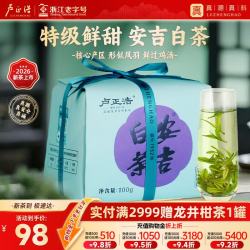 卢正浩 特级 安吉白茶 传统纸包 100g