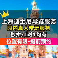 1对1真人上海迪士尼园内带玩