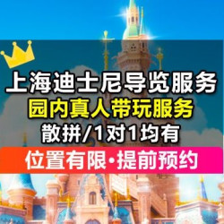 1对1真人上海迪士尼园内带玩
