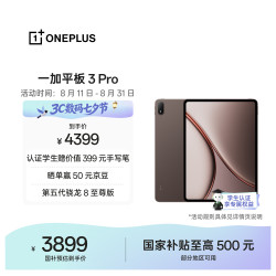 一加 3 Pro 第五代骁龙8至尊版 12GB+256GB 深棕 平板电脑