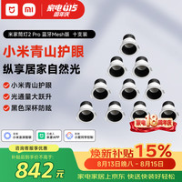 米家 筒灯2Pro 蓝牙Mesh版 10W 10支装