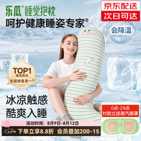 乐瓜 凉感可拆洗 加大恐龙-冰凉款 长条抱枕