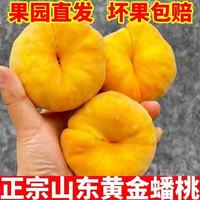 栀舒 特大果 山东蒙阴 黄金蟠桃 2.5斤装 4-6个