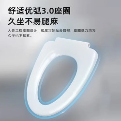 松鲸 卫浴家用马桶坐便器大冲力超漩虹吸式静音连体座便器小户型马桶 直冲型+轻音盖板