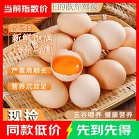 臻选鲜鸡蛋 40g±5g/枚 当日现捡20枚