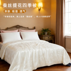 VTX 蚕丝被 四季蚕丝被柞蚕丝长丝被芯亲肤柔软春夏秋双人被芯 子母被 150*215cm 填充量250g春秋被