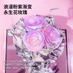 玫瑰盒子 永生花玫瑰花束 极光玫瑰永生花