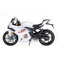 张雪机车 2026款500RR双摇臂四缸燃油仿赛摩托车跑车机车 26款500RR双摇臂