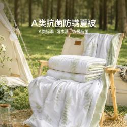 LOVO 可水洗机洗A类抗菌透气柔软被子可裸睡被芯夏凉被空调被夏被夏季