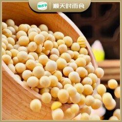 鲜农子 东北黄大豆高蛋白农家自产新豆五谷杂粮打豆浆非转基因黄豆真空装 黄豆500g*1袋