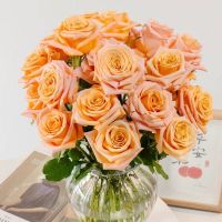 京东鲜花 七夕情人节随机色玫瑰花20枝
