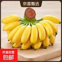 京喜加 广西小米蕉 净重4.5斤