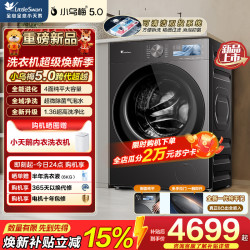 小天鹅 TD10K60