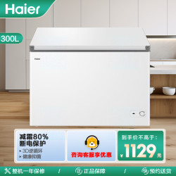 海尔 冷柜BC/BD-300GHPD