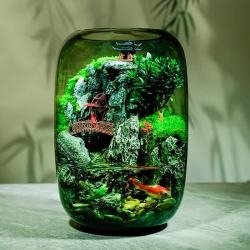 艾格辰 时来运转水培微景观鱼缸