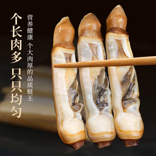 连海肴 无沙大号蛏王肉 生鲜贝类