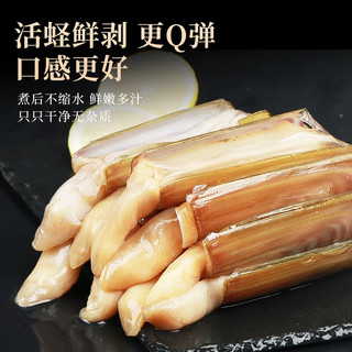 连海肴 无沙大号蛏王肉 生鲜贝类