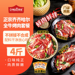 顶诺 齐齐哈尔风味烤肉4斤 调理 250g 4袋