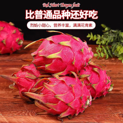 广西 红心火龙果金都一号 带箱5斤-净重4.5斤 单果200g+
