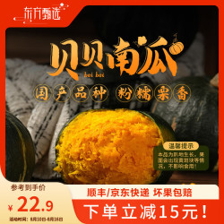 东方甄选 贝贝南瓜 4.8斤 新鲜蔬菜