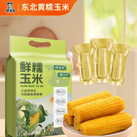 邹有才 当季新货 东北黄糯玉米棒8支黄金铝箔装低脂黄糯香甜东北黏苞米 东北黄糯玉米棒220g*8穗