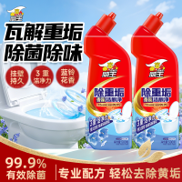 威王 除重垢洁厕灵液500g*2蓝铃花 马桶厕所清洁剂洁厕液 除菌除垢除臭