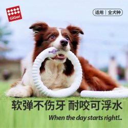 GiGwi 狗狗玩具飞盘狗专用飞盘