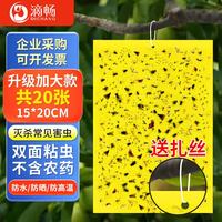 滴畅 粘虫板黄板诱虫板20张灭苍蝇贴灭蚊虫小飞虫诱捕15cm
