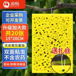 滴畅 粘虫板黄板诱虫板20张灭苍蝇贴灭蚊虫小飞虫诱捕15cm