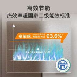 威能 turboMAX classic 24kW 二级能效 天然气采暖热水两用壁挂炉