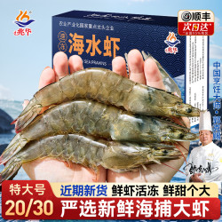 兆华 虾青岛大虾基围虾 1500g*1盒 1500g(净重)  海捕大虾40/50