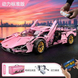 星涯优品 积木玩具车遥控赛车兰博基尼跑车拼装模型男孩7-12岁儿童节礼物 1:14兰博基尼粉色-动力版