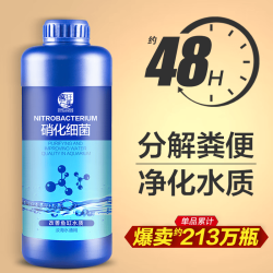 疯狂石头 硝化细菌 鱼缸水族箱养鱼用品净化分解粪便 活性菌  硝化细菌600ML